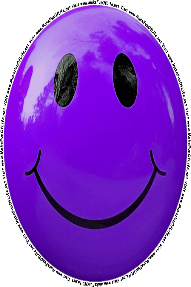 Picture of a purple 2 smiley face, and the words, Visit www.MakeFunOfLife.net.