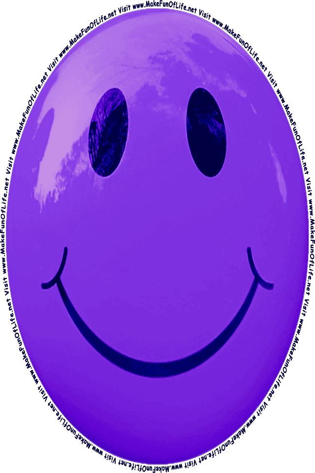Picture of a purple 3 smiley face, and the words, Visit www.MakeFunOfLife.net.