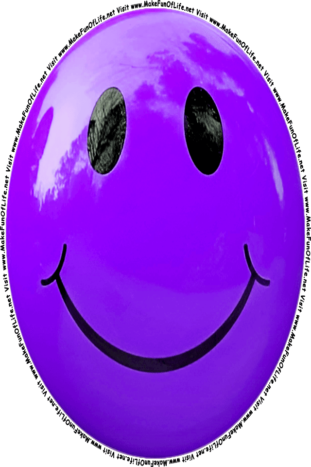 Picture of a purple 4 smiley face, and the words, Visit www.MakeFunOfLife.net.