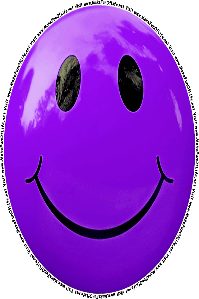 Picture of a purple 5 smiley face, and the words, Visit www.MakeFunOfLife.net.