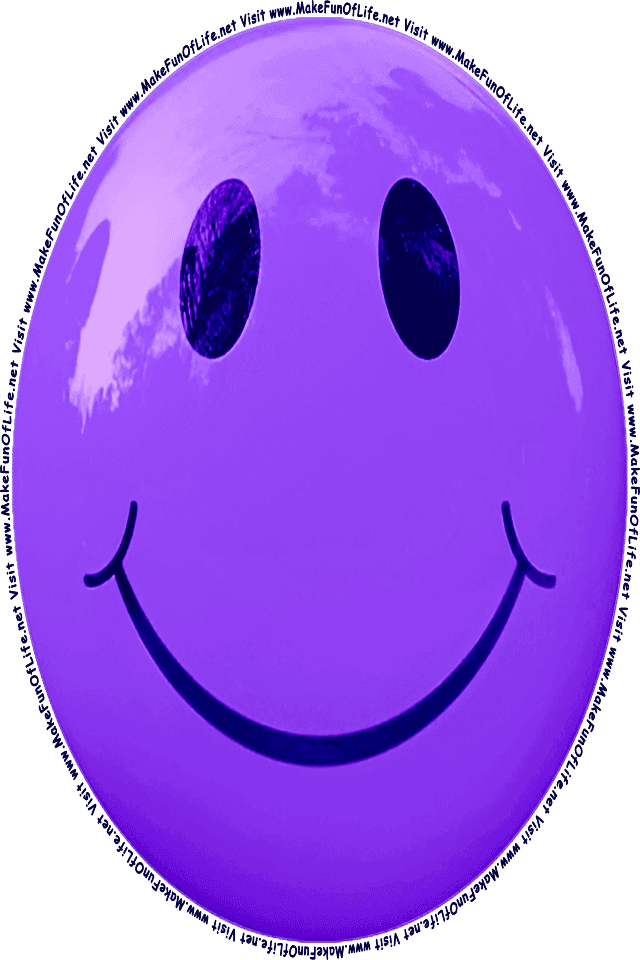 Picture of a purple 6 smiley face, and the words, Visit www.MakeFunOfLife.net.