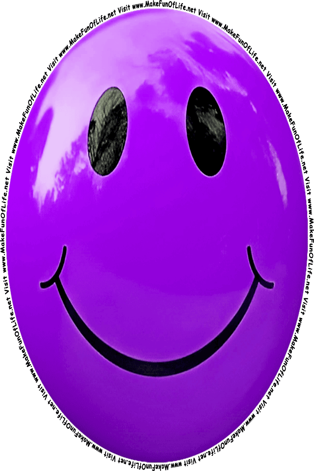 Picture of a purple 7 smiley face, and the words, Visit www.MakeFunOfLife.net.