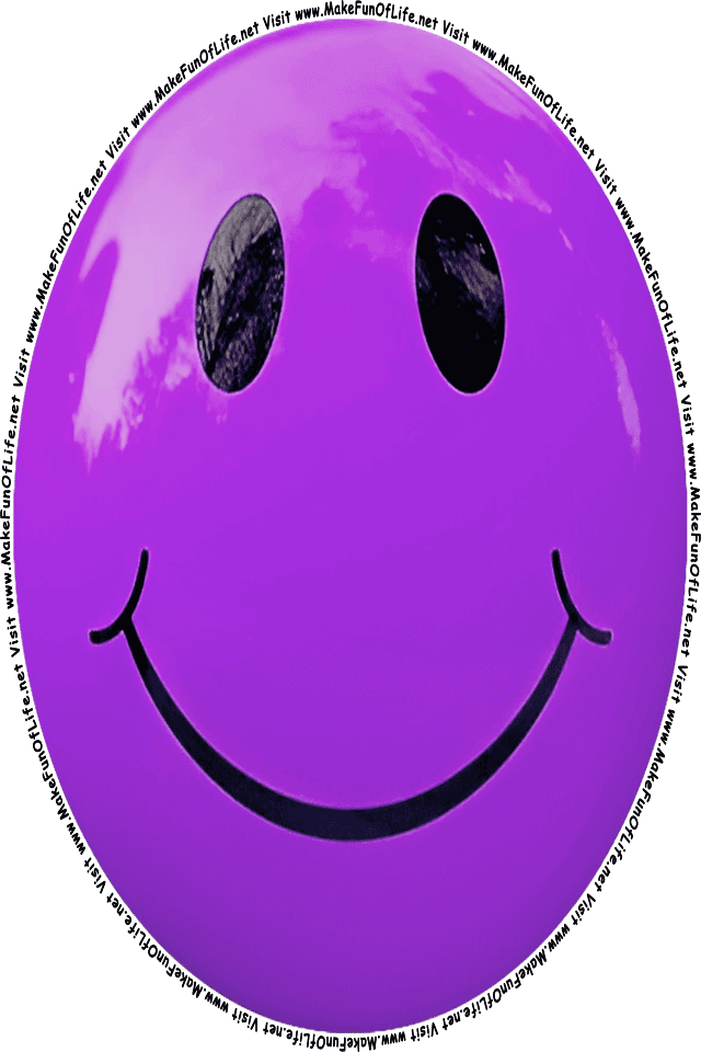 Picture of a purple 9] smiley face, and the words, Visit www.MakeFunOfLife.net.