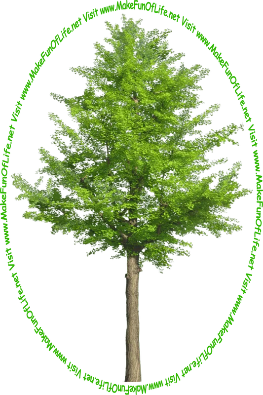 Picture of a tall leafy green tree and the words, 'Visit www.MakeFunOfLife.net.'