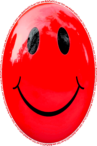 Picture of a red 100 color cartoon smiley face, and the words, Visit www.MakeFunOfLife.net.