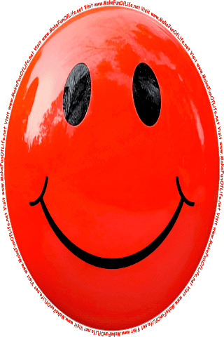 Picture of a red 10 color cartoon smiley face, and the words, Visit www.MakeFunOfLife.net.
