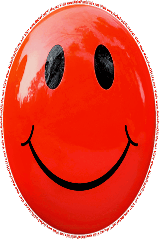 Picture of a red 140 color cartoon smiley face, and the words, Visit www.MakeFunOfLife.net.