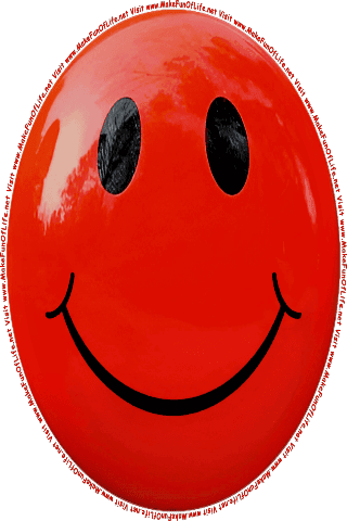 Picture of a red 180r color cartoon smiley face, and the words, Visit www.MakeFunOfLife.net.