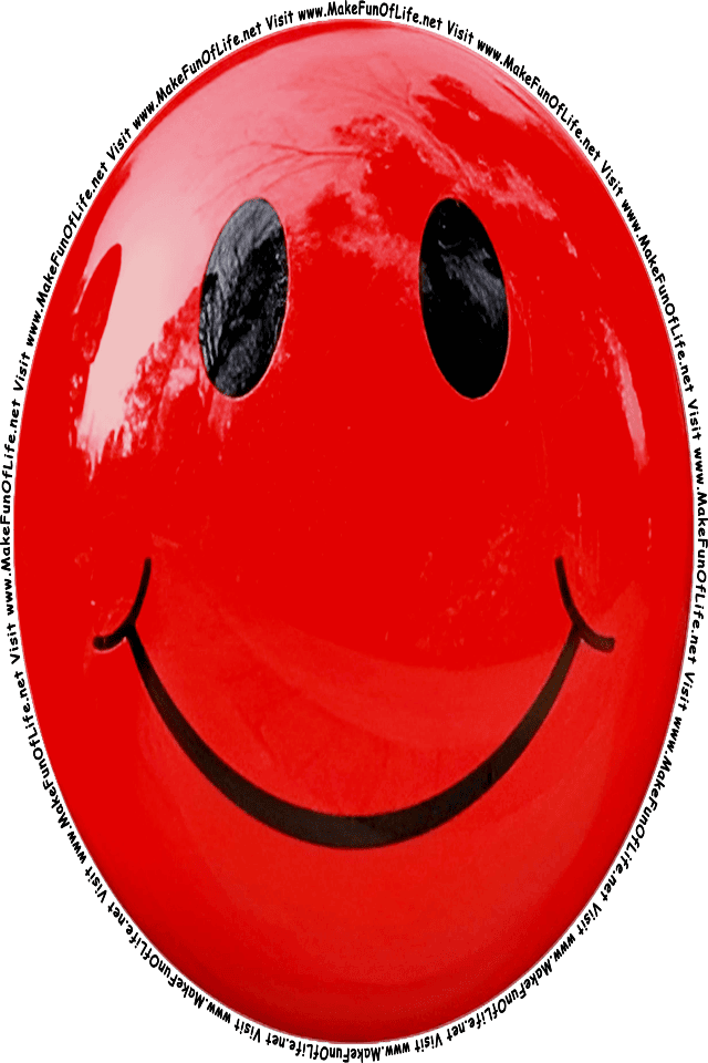 Picture of a Red 1 smiley face, and the words, Visit www.MakeFunOfLife.net.