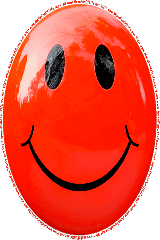 Picture of a red 20 color cartoon smiley face, and the words, Visit www.MakeFunOfLife.net.