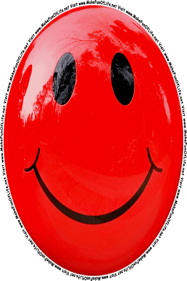 Picture of a red 2 smiley face, and the words, Visit www.MakeFunOfLife.net.
