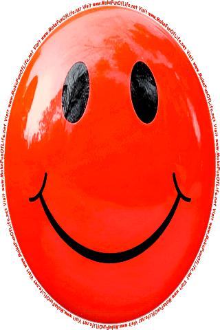 Picture of a red 80  color cartoon smiley face, and the words, Visit www.MakeFunOfLife.net.