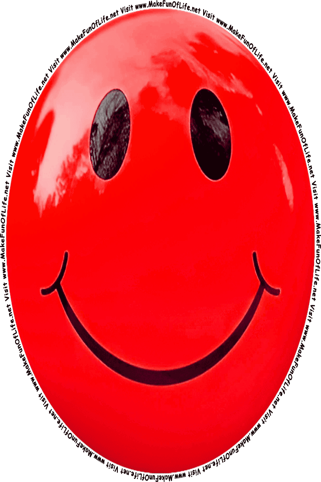 Picture of a red 3 smiley face, and the words, Visit www.MakeFunOfLife.net.