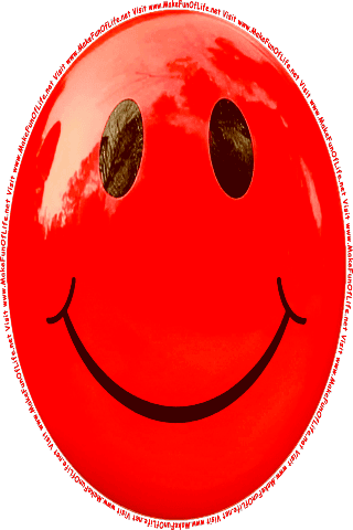 Picture of a red 40 color cartoon smiley face, and the words, Visit www.MakeFunOfLife.net.