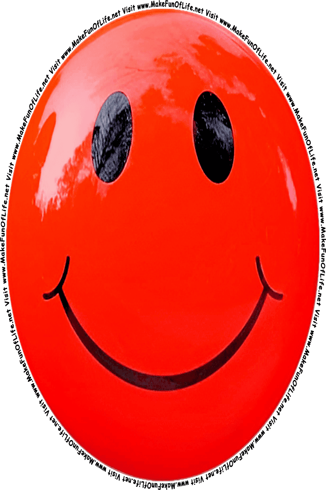 Picture of a red 4 smiley face, and the words, Visit www.MakeFunOfLife.net.