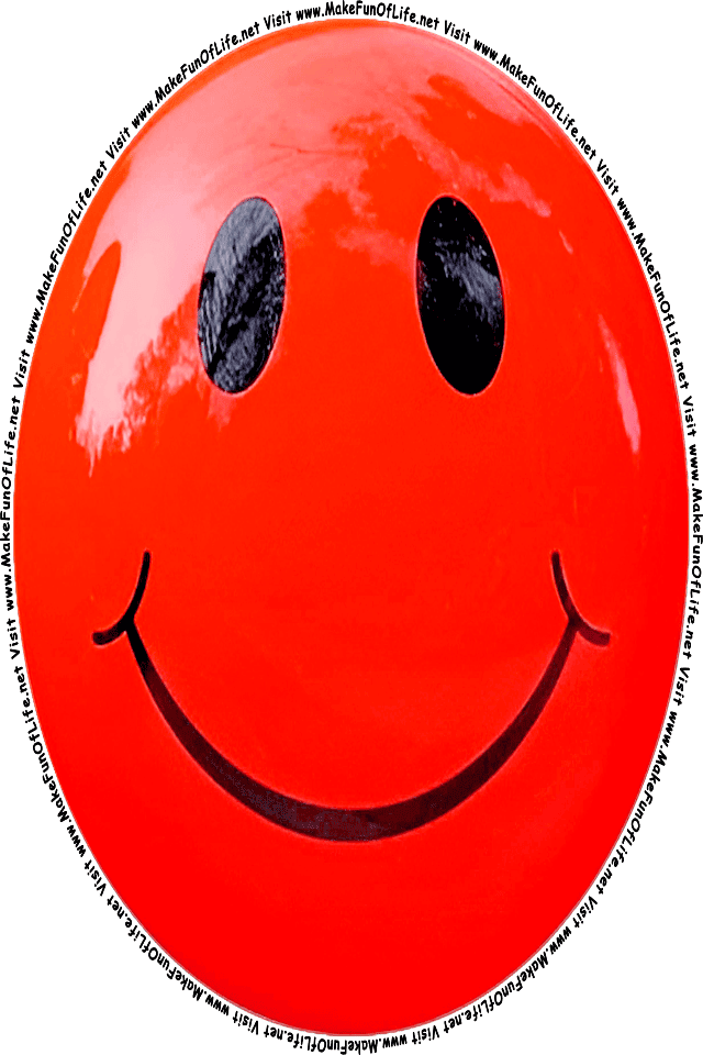 Picture of a red 5 smiley face, and the words, Visit www.MakeFunOfLife.net.