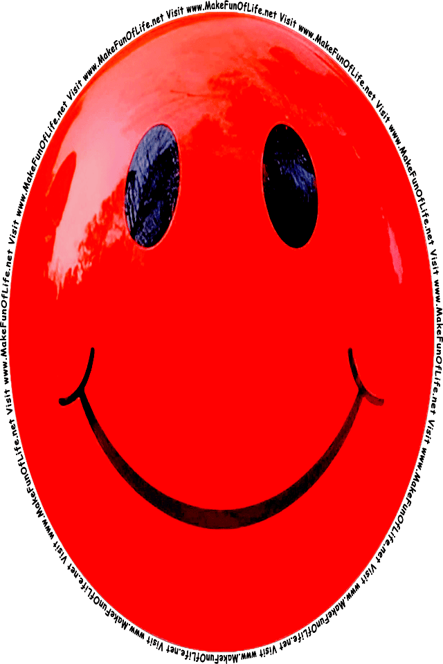 Picture of a red 6 smiley face, and the words, Visit www.MakeFunOfLife.net.