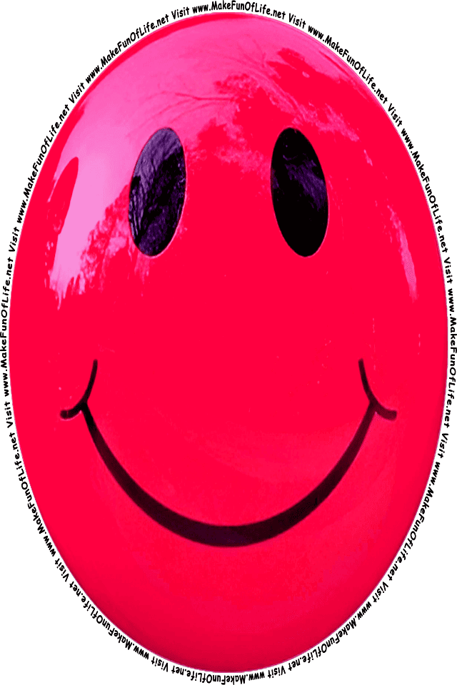Picture of a red 7 smiley face, and the words, Visit www.MakeFunOfLife.net.