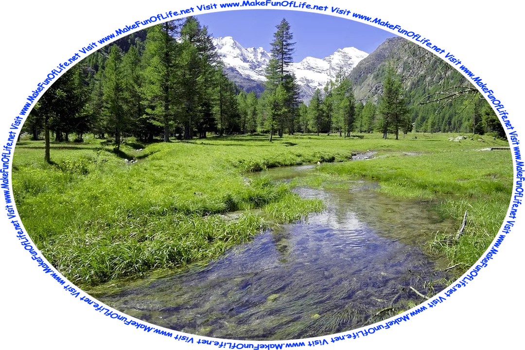 Picture of a wilderness area with a river running through a green grassy meadow scattered with evergreen trees, snow-capped mountains in the distance and a clear blue sky overhead, and the words, ‘Visit www.MakeFunOfLife.net.’