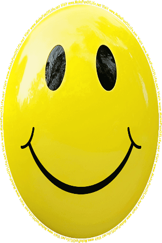Picture of a yellow 100 color cartoon smiley face, and the words, Visit www.MakeFunOfLife.net.