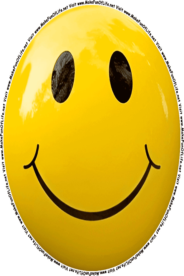Picture of a yellow 10 smiley face, and the words, Visit www.MakeFunOfLife.net.