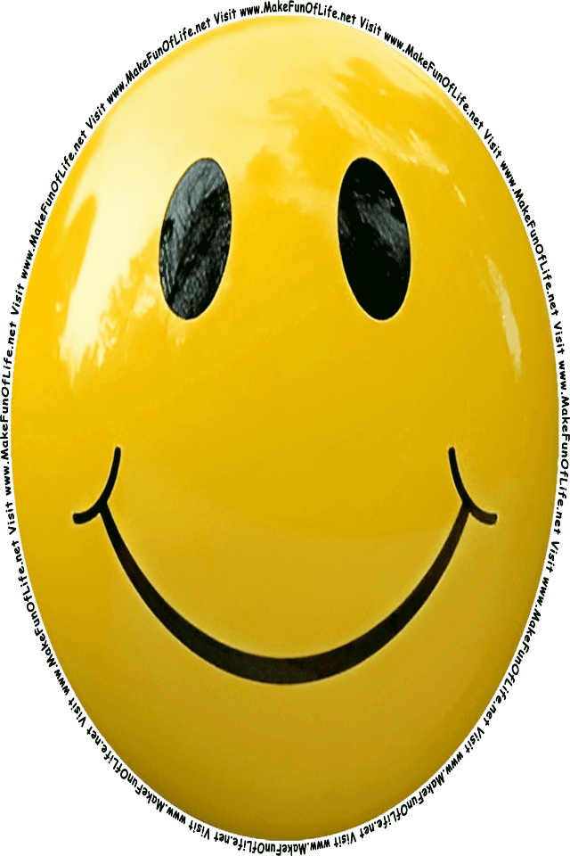 Picture of a yellow 11 smiley face, and the words, Visit www.MakeFunOfLife.net.