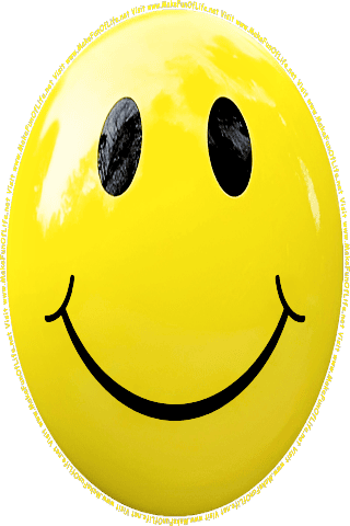 Picture of a yellow 120  color cartoon smiley face, and the words, Visit www.MakeFunOfLife.net.