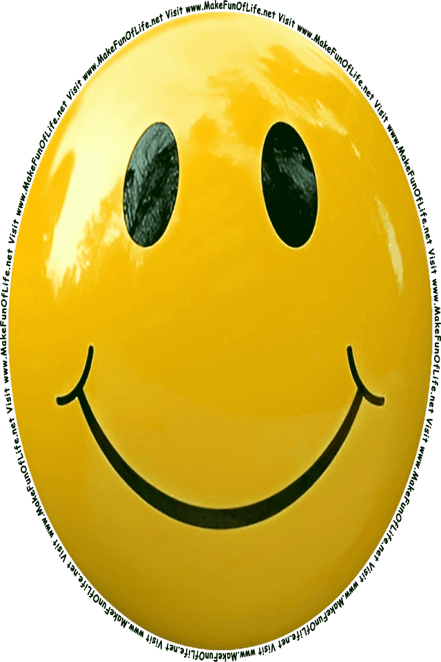 Picture of a Yellow 12 smiley face, and the words, Visit www.MakeFunOfLife.net.