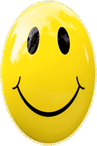Picture of a yellow 140 color cartoon smiley face, and the words, Visit www.MakeFunOfLife.net.