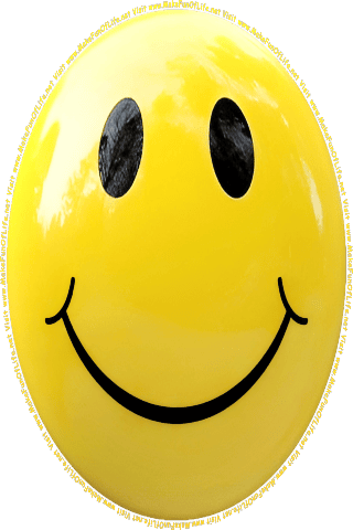 Picture of a yellow 150 color cartoon smiley face, and the words, Visit www.MakeFunOfLife.net.