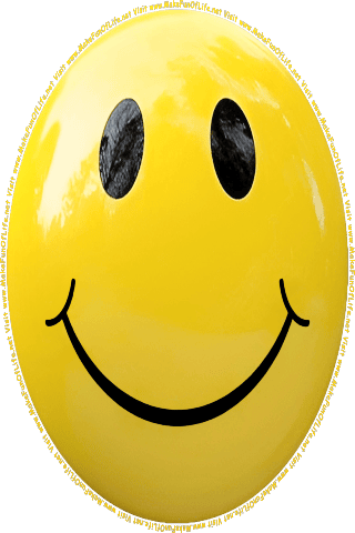 Picture of a yellow 180 color cartoon smiley face, and the words, Visit www.MakeFunOfLife.net.
