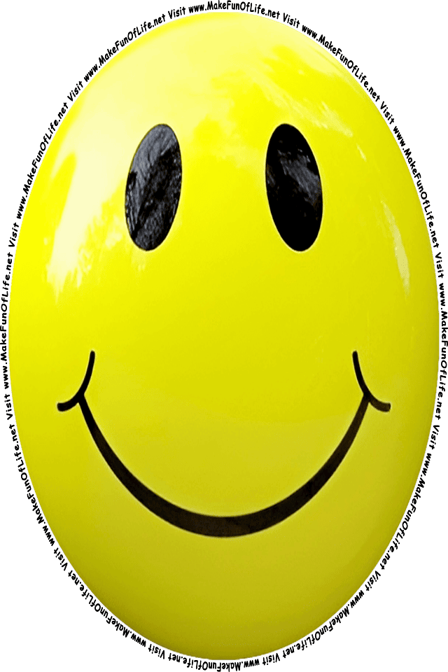 Picture of a Yellow 1 smiley face, and the words, Visit www.MakeFunOfLife.net.