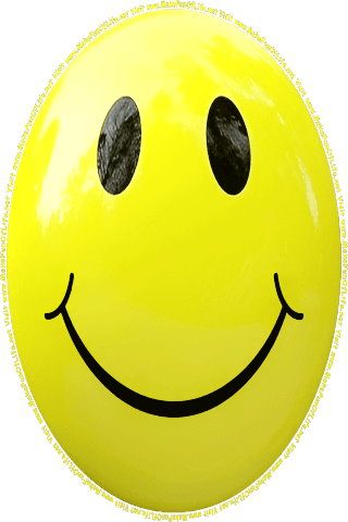 Picture of a yellow 20 color cartoon smiley face, and the words, Visit www.MakeFunOfLife.net.