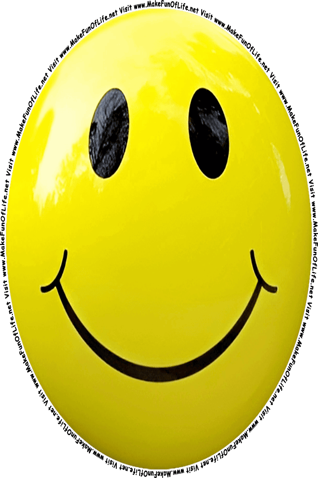 Picture of a yellow 2 smiley face, and the words, Visit www.MakeFunOfLife.net.