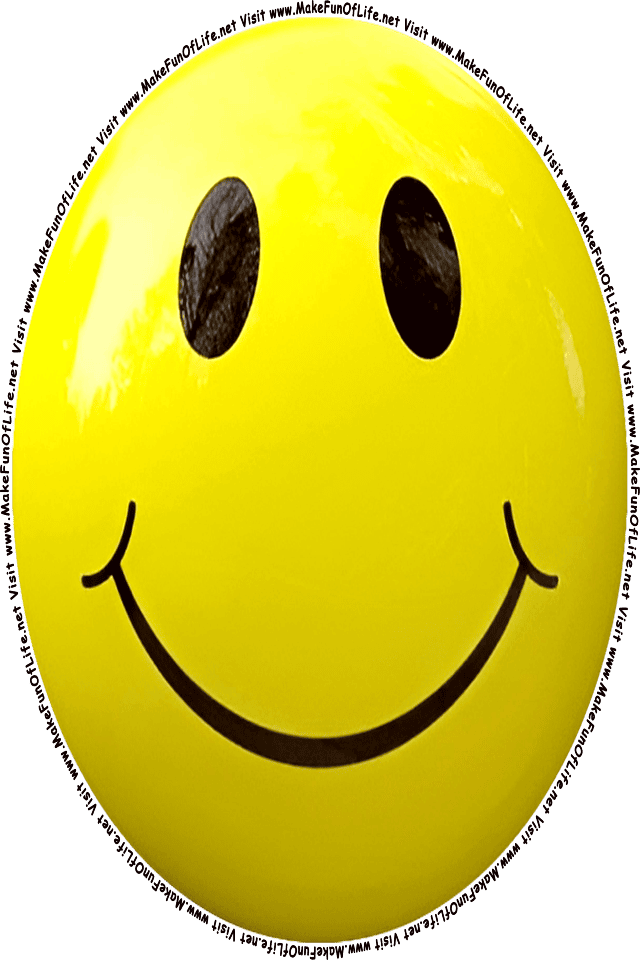 Picture of a yellow 3 smiley face, and the words, Visit www.MakeFunOfLife.net.