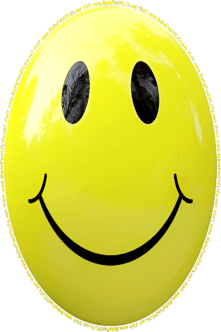 Picture of a yellow 40  color cartoon smiley face, and the words, Visit www.MakeFunOfLife.net.
