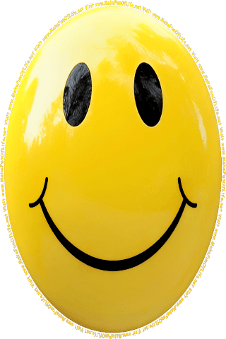 Picture of a yellow 470 color cartoon smiley face, and the words, Visit www.MakeFunOfLife.net.