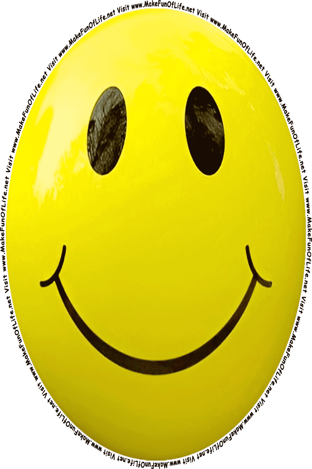 Picture of a yellow 4 smiley face, and the words, Visit www.MakeFunOfLife.net.