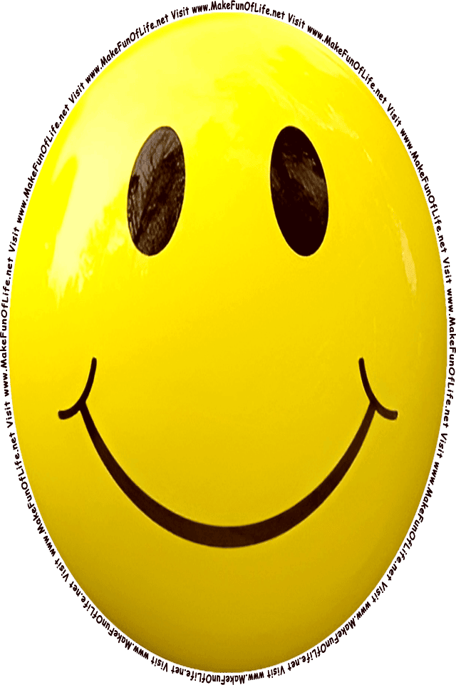 Picture of a yellow 5 smiley face, and the words, Visit www.MakeFunOfLife.net.