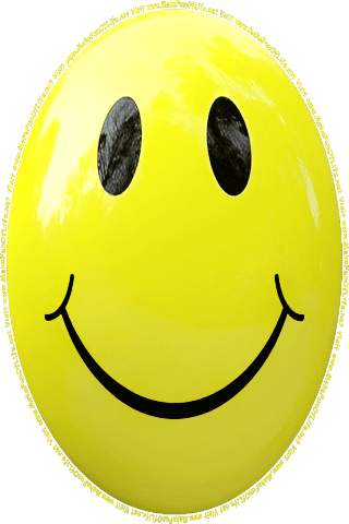 Picture of a yellow 60 color cartoon smiley face, and the words, Visit www.MakeFunOfLife.net.