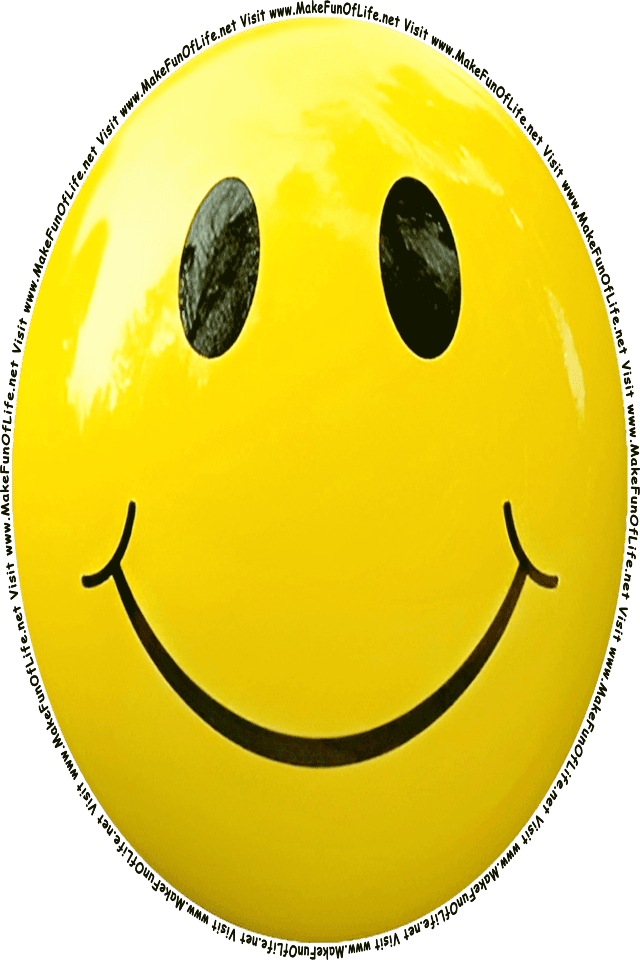 Picture of a yellow 6 smiley face, and the words, Visit www.MakeFunOfLife.net.