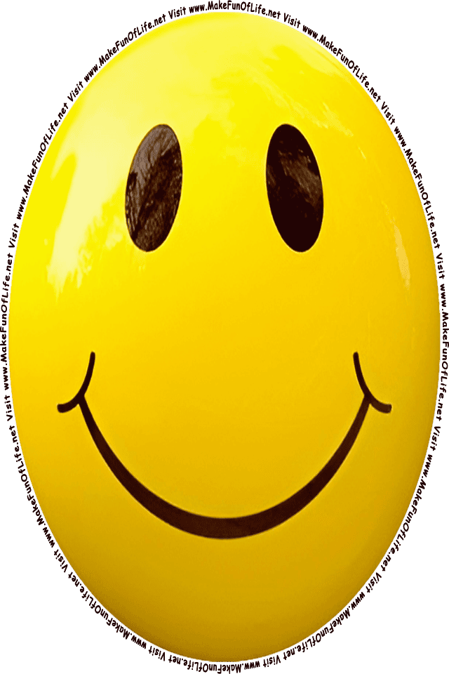 Picture of a yellow 7 smiley face, and the words, Visit www.MakeFunOfLife.net.