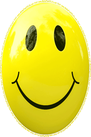 Picture of a yellow 80 color cartoon smiley face, and the words, Visit www.MakeFunOfLife.net.