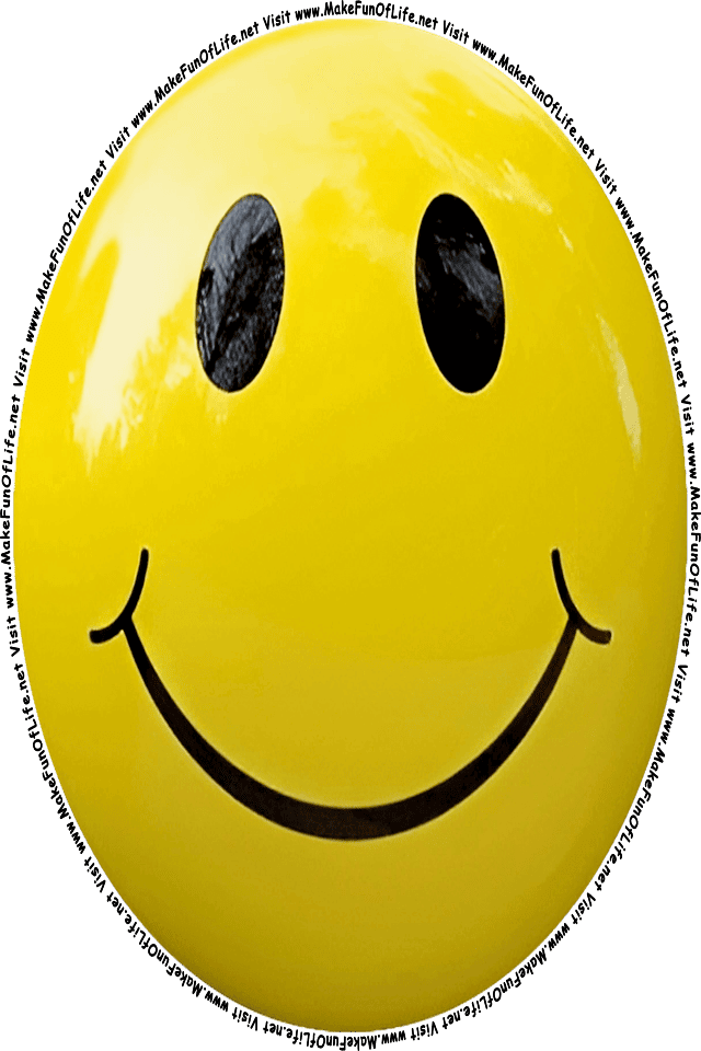Picture of a yellow 8 smiley face, and the words, Visit www.MakeFunOfLife.net.
