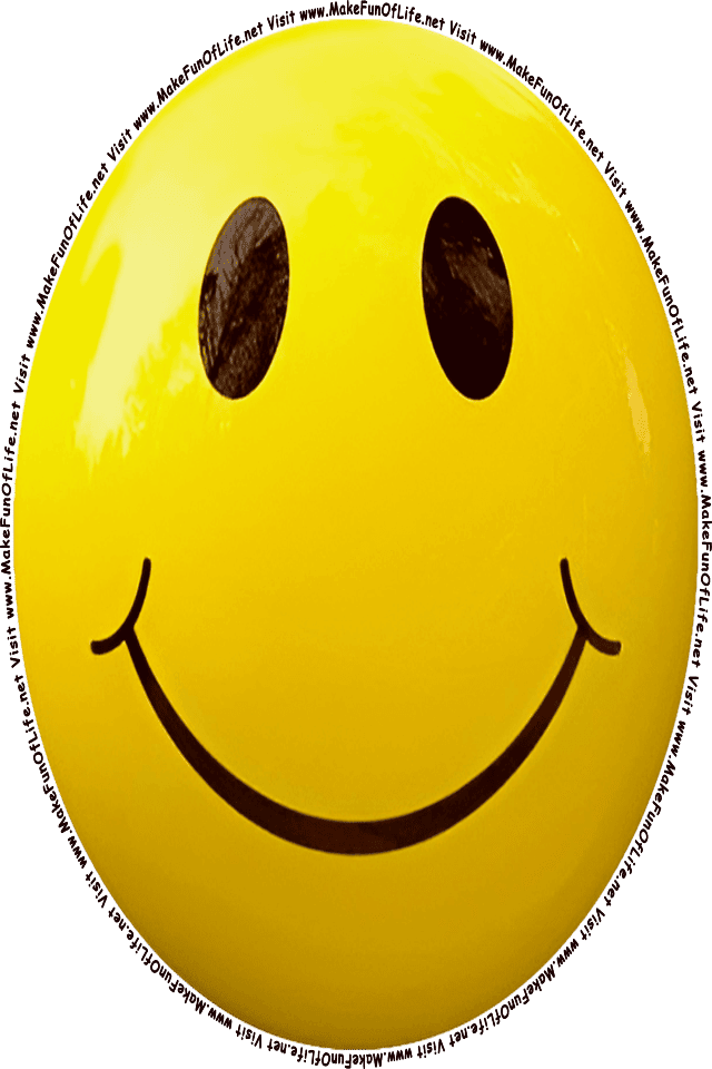 Picture of a yellow 9 smiley face, and the words, Visit www.MakeFunOfLife.net.