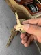 carousel chooser