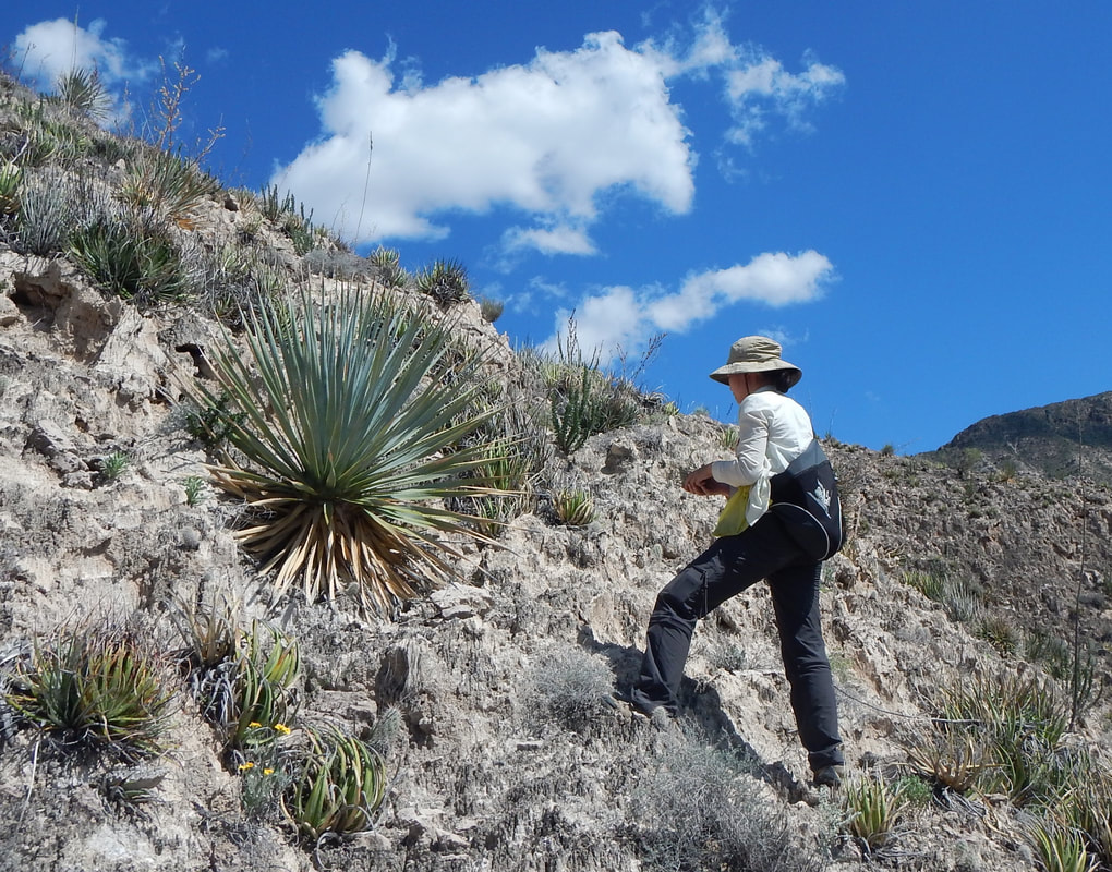 Ya during field work in Northern Mexico