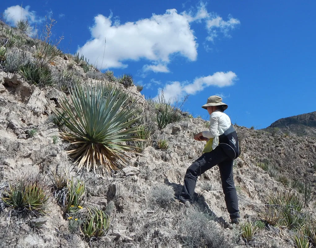 Ya during field work in Northern Mexico