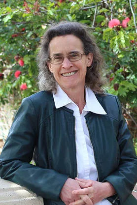 Lisa K. Shapiro Picture