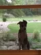 carousel chooser